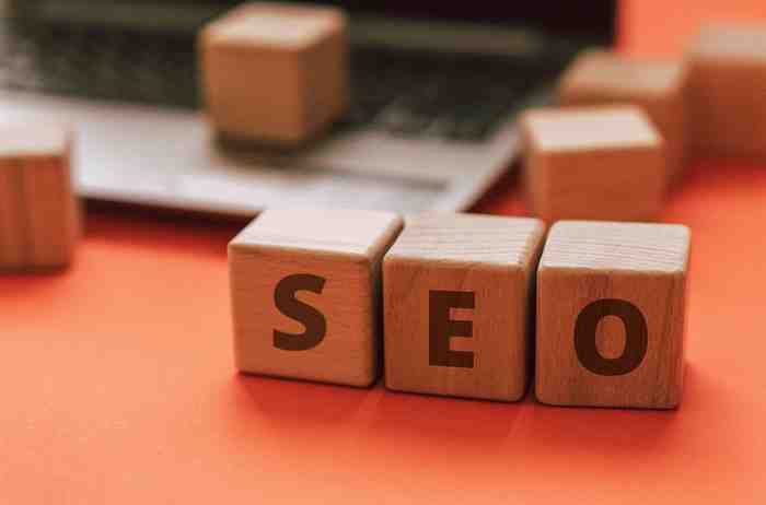 Search Engine Ranking
